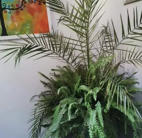 Majatalo бутик хотел ресторант брасери и релакс зона сажитариус