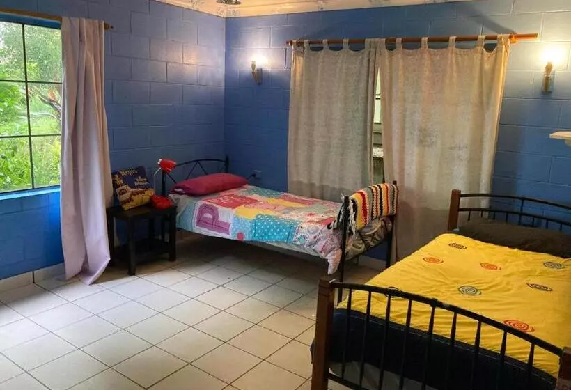 ペンション Tarzali Boho Gardens Guest House