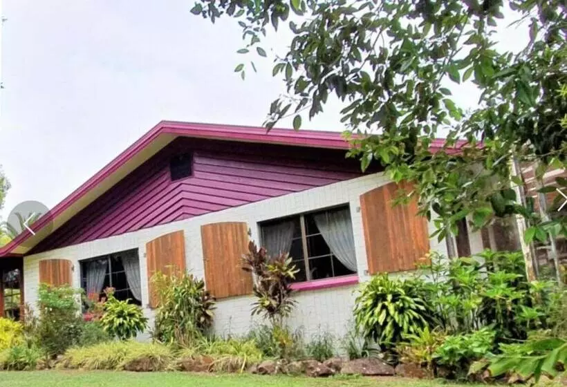 ペンション Tarzali Boho Gardens Guest House