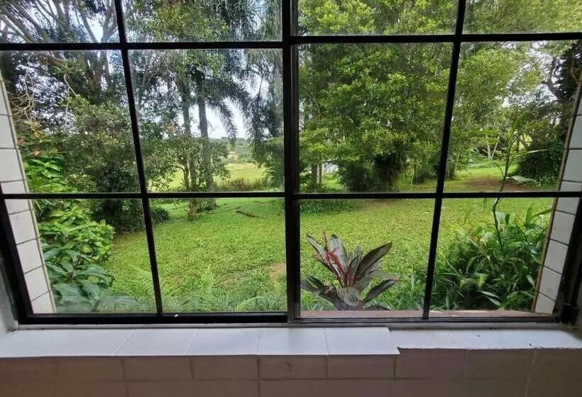 ペンション Tarzali Boho Gardens Guest House