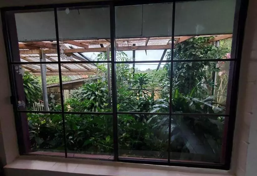 ペンション Tarzali Boho Gardens Guest House