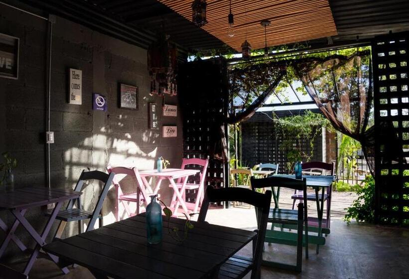 Urban Bacalar Trie Hotels