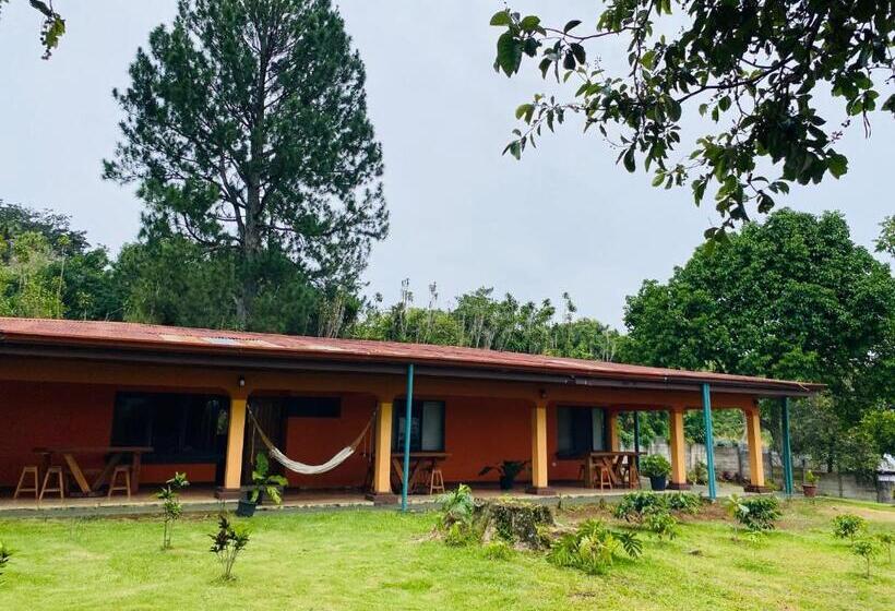 住宿加早餐  Casa Mano De Tigre