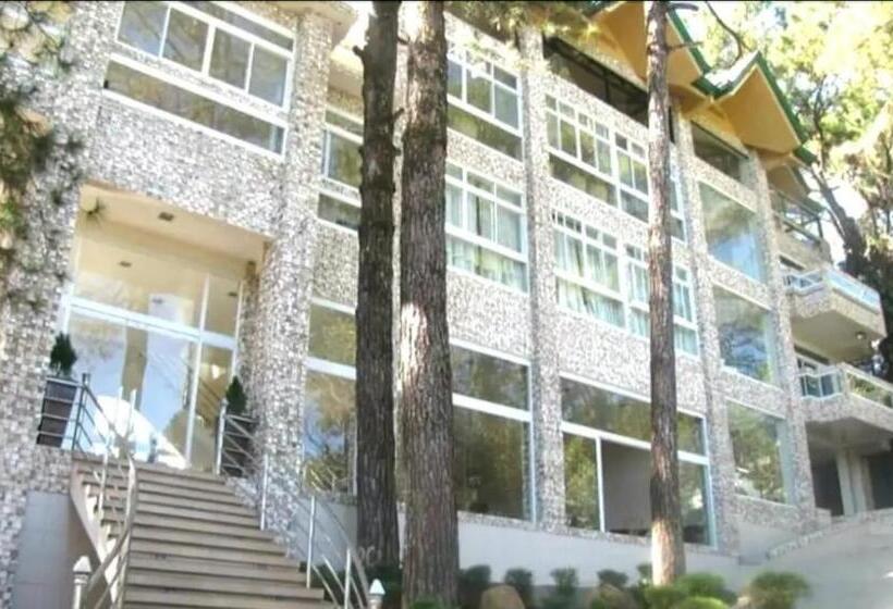 Grandview Residences  Studio Loft Type