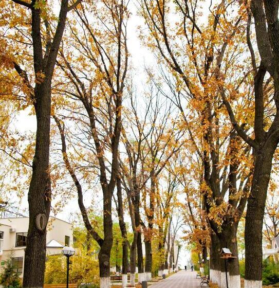 Szálloda біла акація