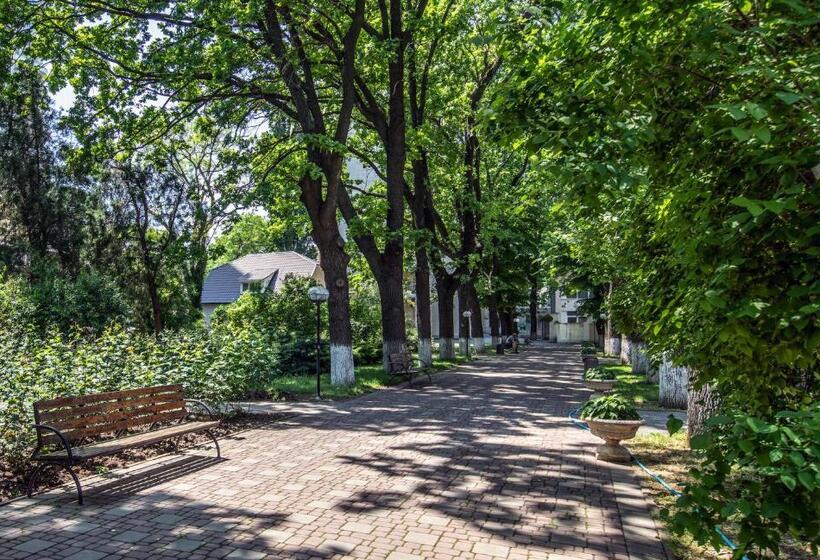 Szálloda біла акація