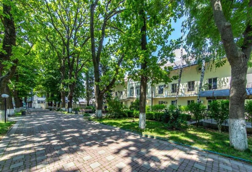 Szálloda біла акація