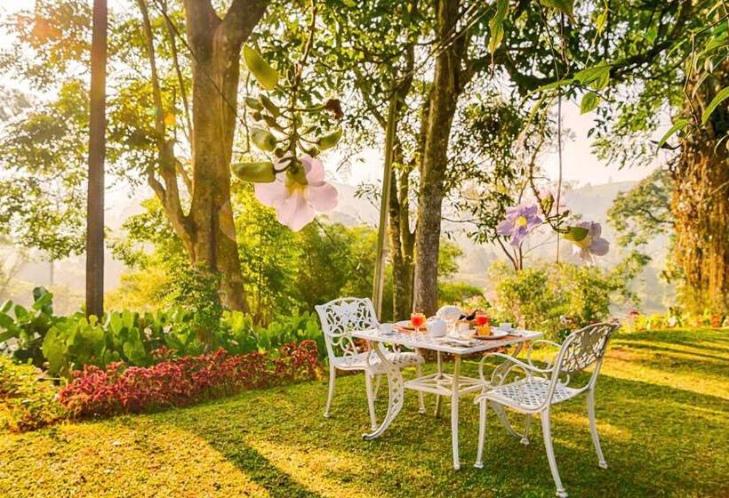 Hotel Craig Appin By Hpl