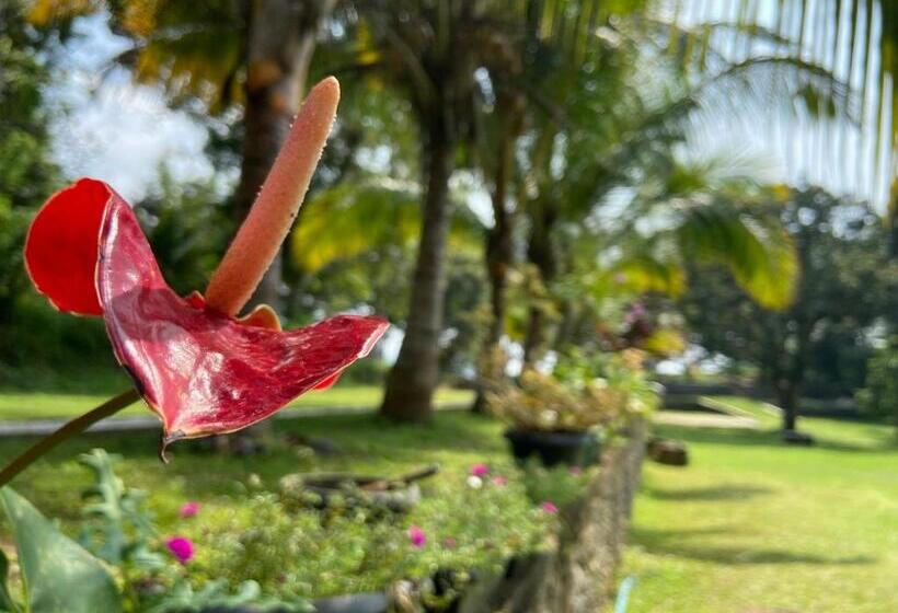 هتل Sobaway Resorts