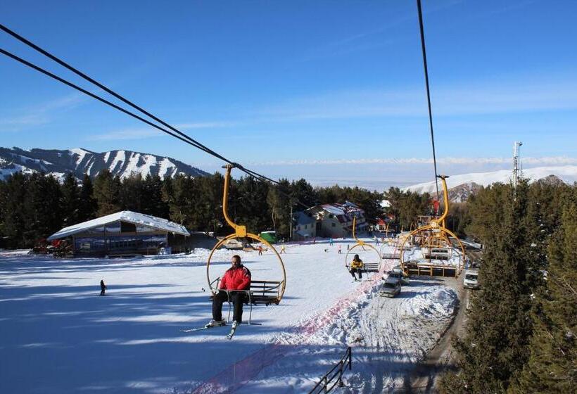 پانسیون жайсан