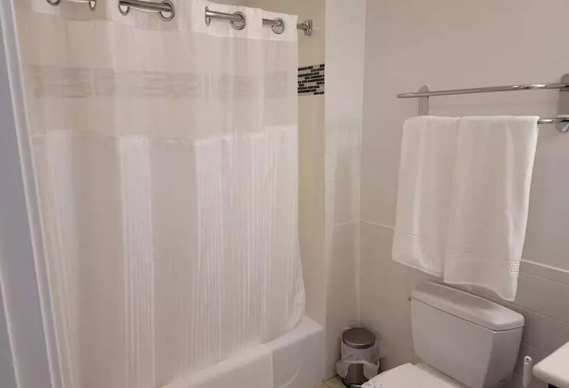 Sunshine Suite