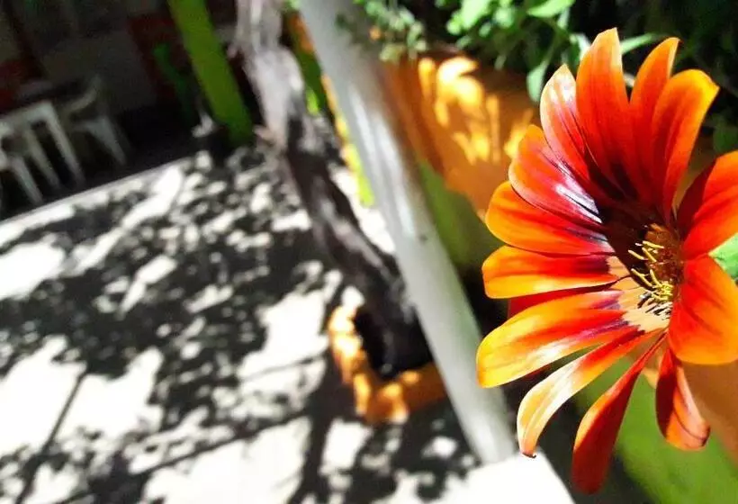 Retkeilymaja Hospedaje Don Alberto