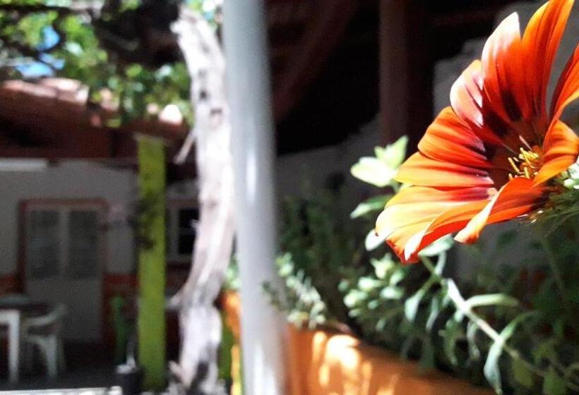 旅馆 Hospedaje Don Alberto