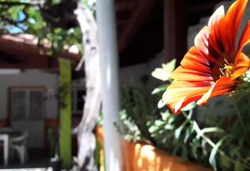 Retkeilymaja Hospedaje Don Alberto