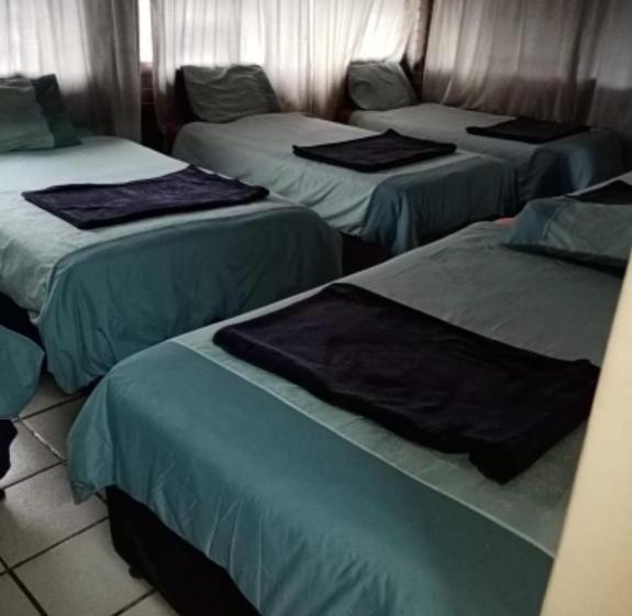 הוסטל Pmb Backpackers Lodge