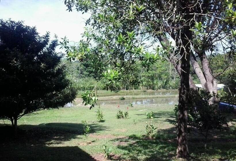 Hospedaria Pousada Sitio Urbano