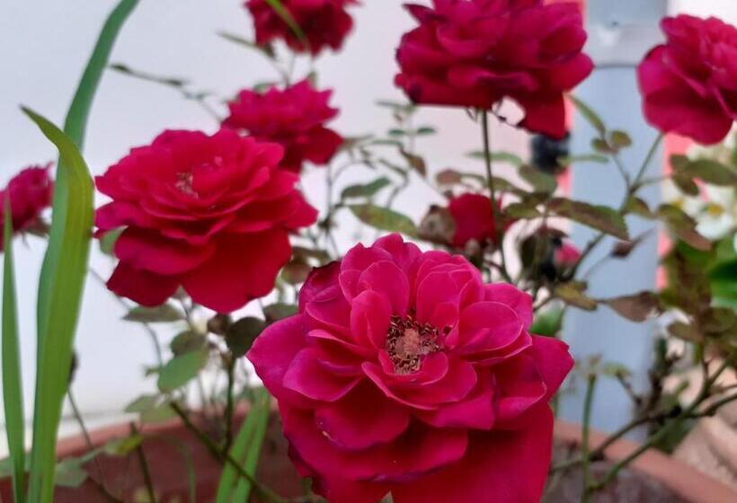 مبيت وإفطار Le Chaubier