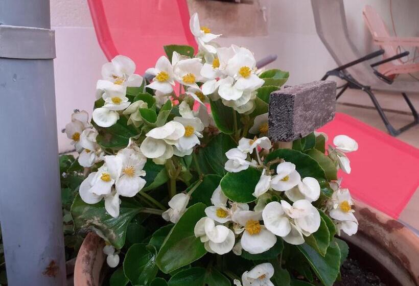 مبيت وإفطار Le Chaubier