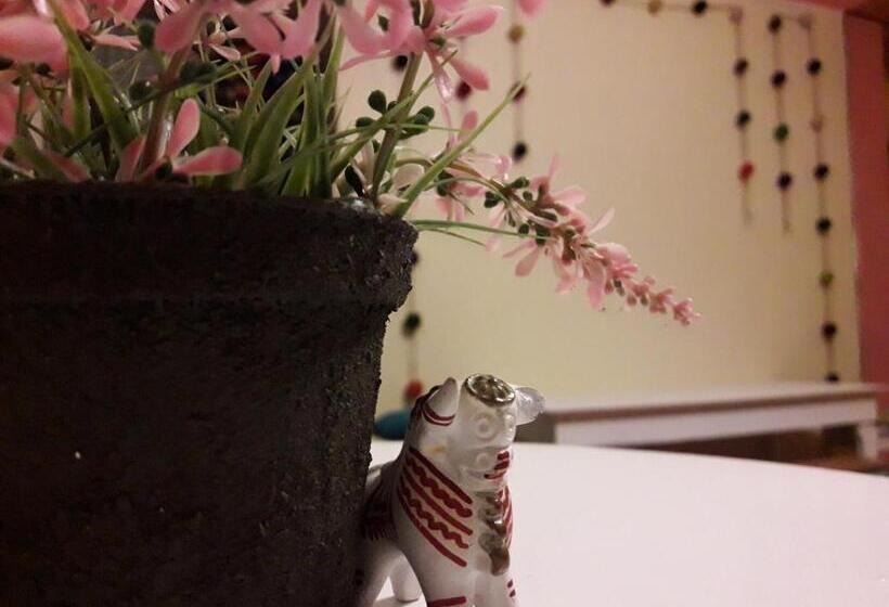 تختخواب و صبحانه Hostel Peru 229 I