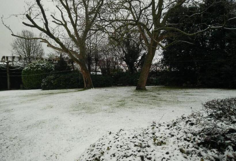 تختخواب و صبحانه T Hemelke