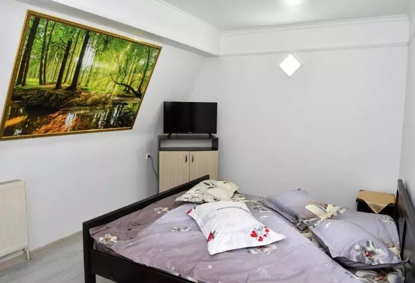 Retkeilymaja Casa Simescu I