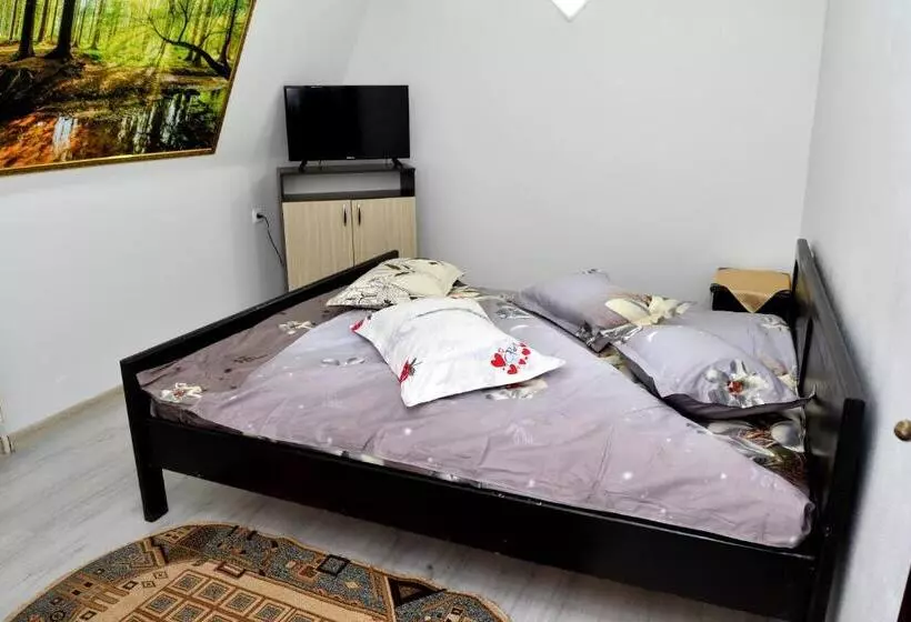 Retkeilymaja Casa Simescu I