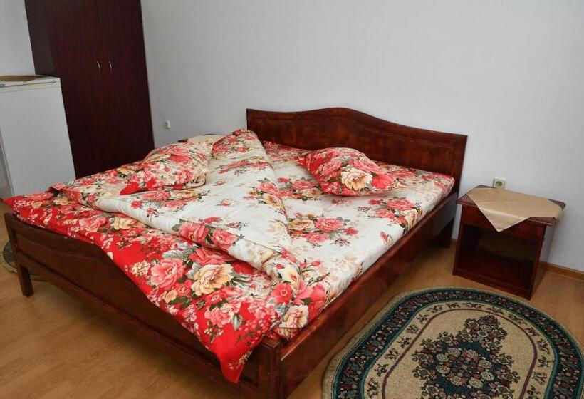 هاستل Casa Simescu I