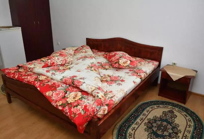 Retkeilymaja Casa Simescu I