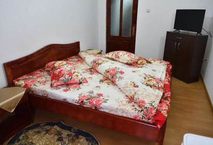 Retkeilymaja Casa Simescu I