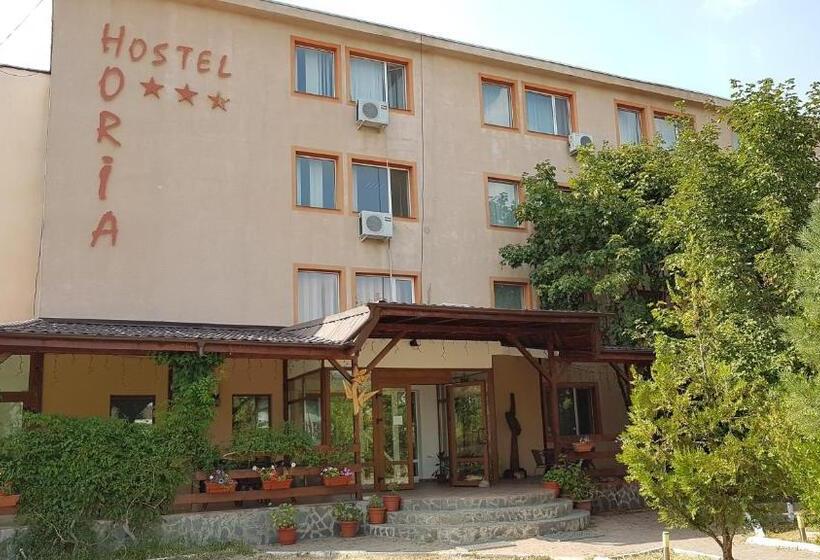Hostel Horia