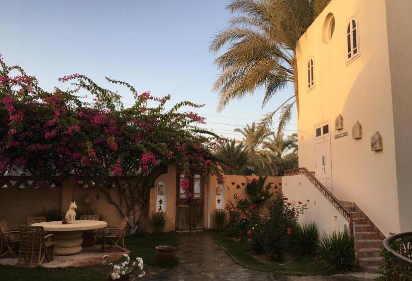 هتل Alexander Lodge