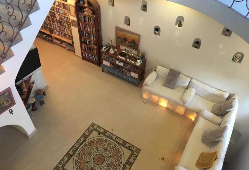 هتل Alexander Lodge