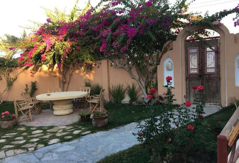 هتل Alexander Lodge