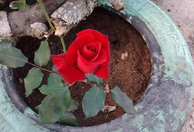 ホテル Soledade Pousada E Apart