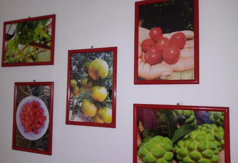 酒店 Soledade Pousada E Apart