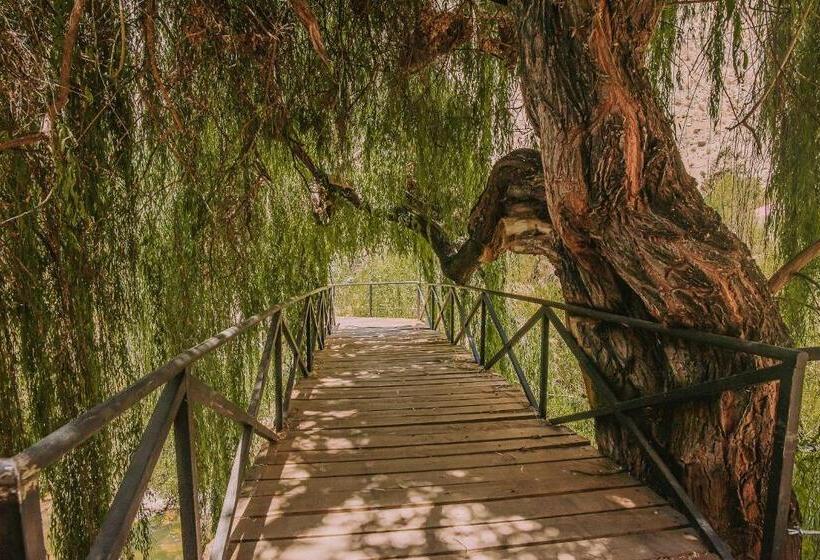 호텔 Vívelo Elqui Landscape