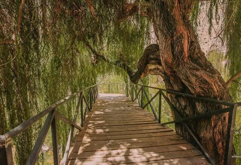 Hotelli Vívelo Elqui Landscape