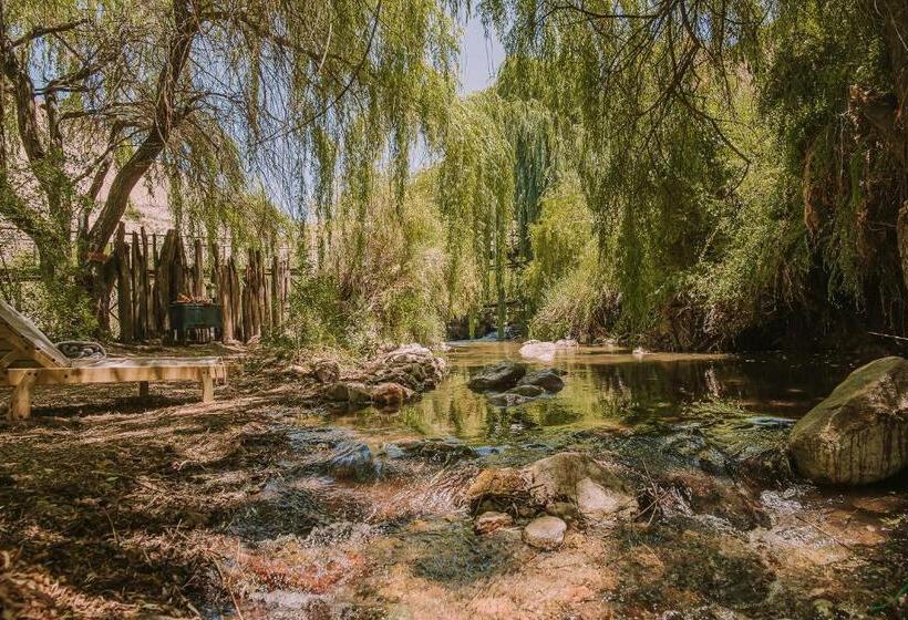 호텔 Vívelo Elqui Landscape