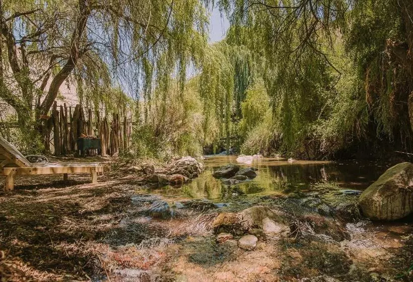 Hotelli Vívelo Elqui Landscape