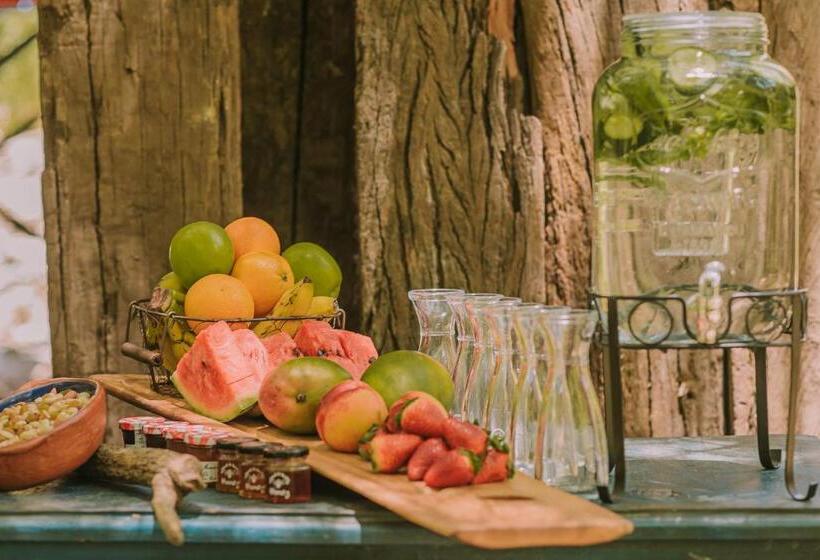 호텔 Vívelo Elqui Landscape