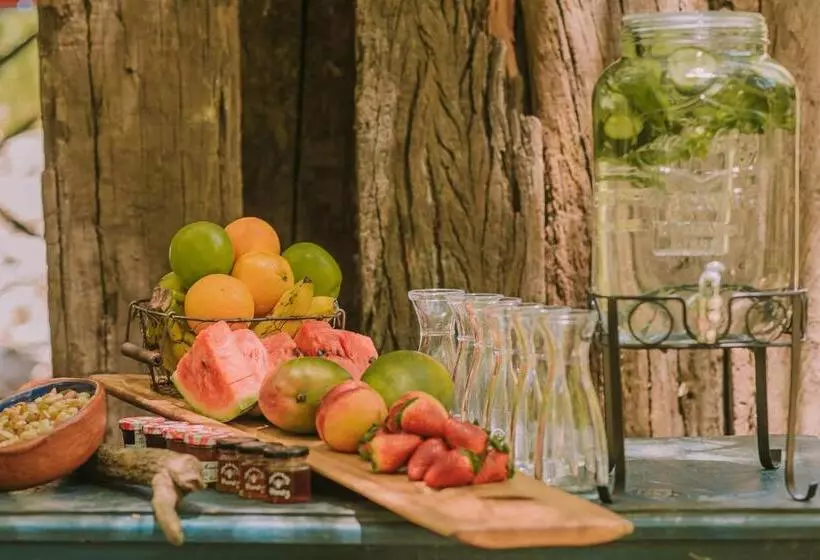 Hotelli Vívelo Elqui Landscape