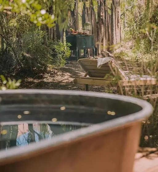 Hotelli Vívelo Elqui Landscape