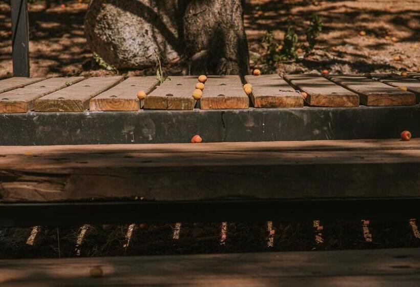 호텔 Vívelo Elqui Landscape