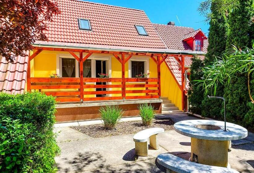 Пансион Bor Villa Vendégház