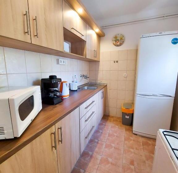 Пансион Bor Villa Vendégház