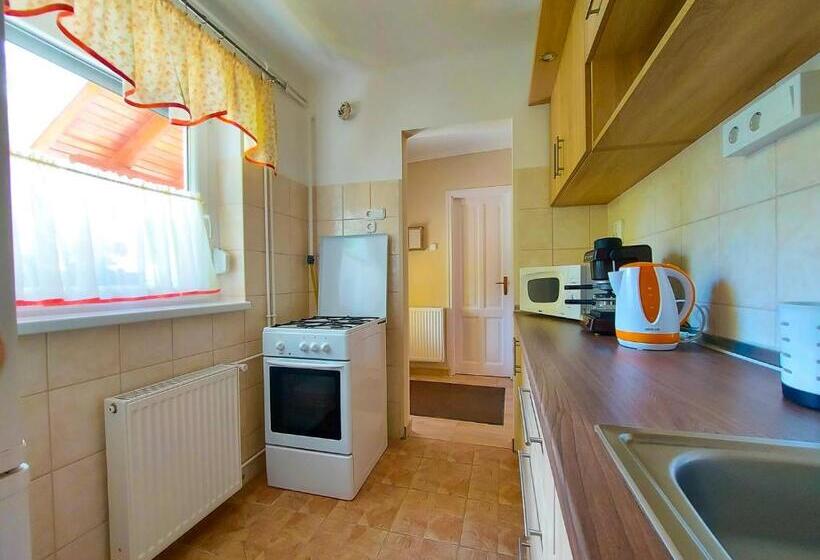 Пансион Bor Villa Vendégház