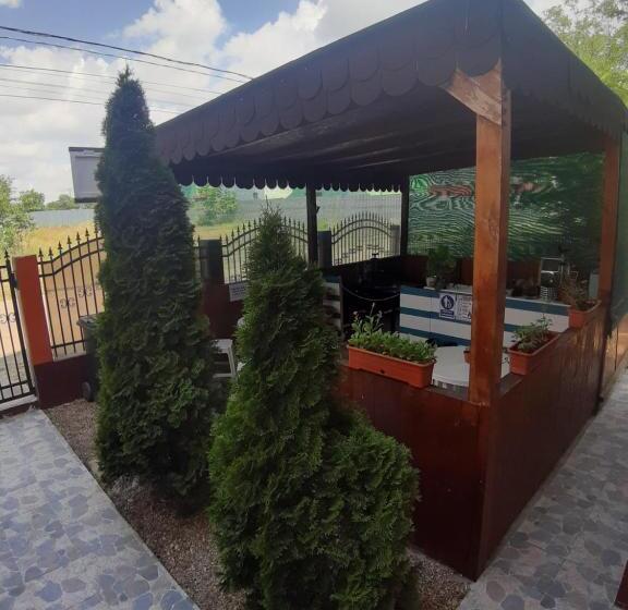 پانسیون Casa Ara Costinesti