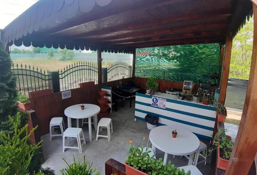 پانسیون Casa Ara Costinesti