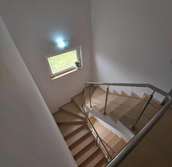 پانسیون Casa Ara Costinesti