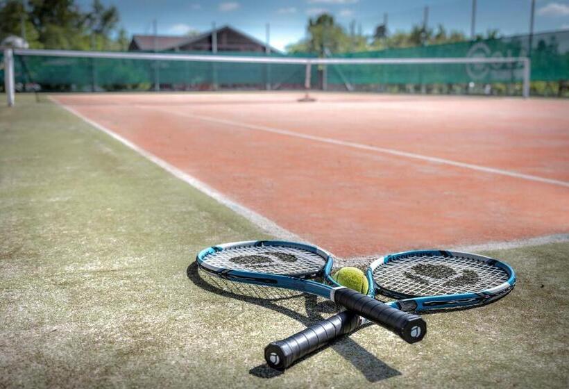 膳宿费 Colatransport